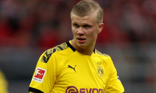 这队已经练到形成肌肉记忆了（这队训练已刻进肌肉记忆）